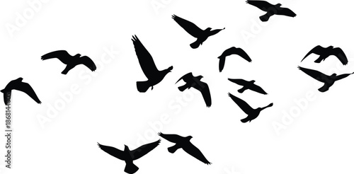 flying bird silhouettes vector, bird flock clipart, wildlife bird svg, nature bird illustration, freedom bird graphics, black bird silhouettes, sky vector art, bird motion design, flying bird collecti