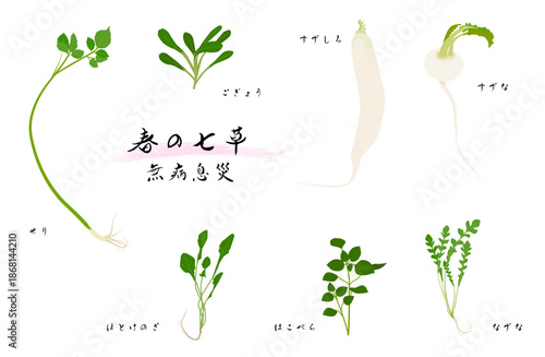 春の七草のイラストセット