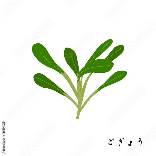 春の七草のごぎょうのイラスト