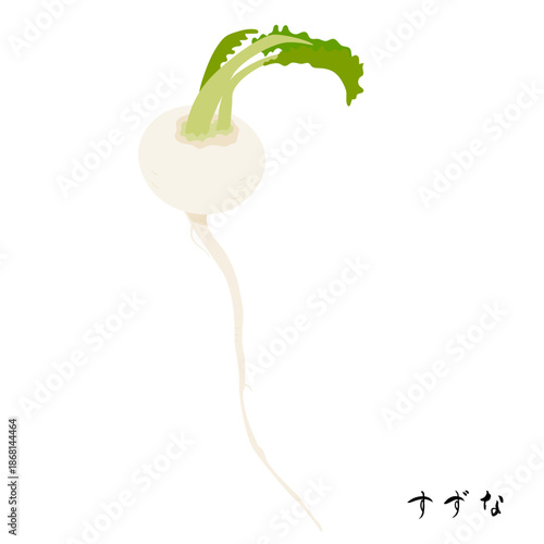 春の七草のすずなのイラスト