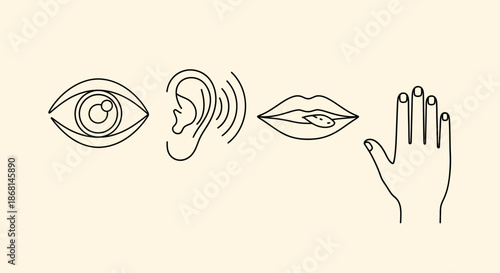Basic human senses line art vector icons. Eye, ear, mouth, and hand symbols representing sight, hearing, taste, and touch.