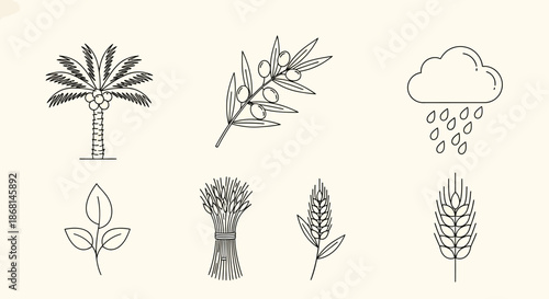 Outline vector icons of agricultural plants and nature elements: date palm, olive branch, wheat, leaves, and rain cloud illustrations.