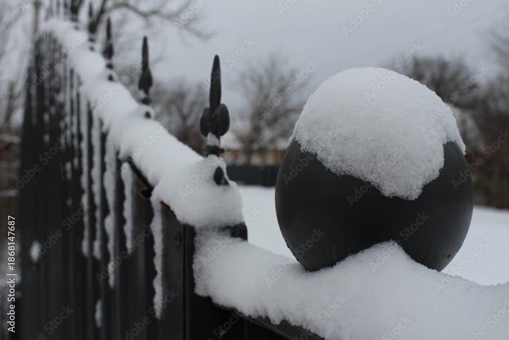 Fototapeta premium winter gates in the snow