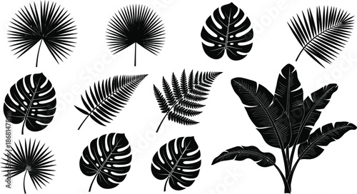 Collection of various tropical plant leaves and flowers, vibrant and lush foliage