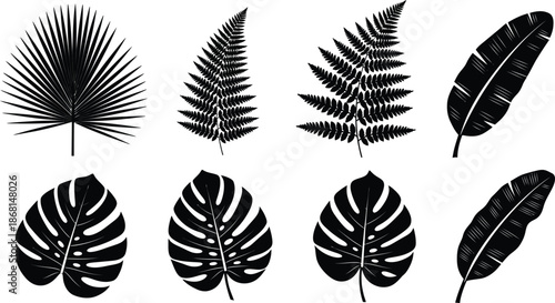 Collection of various tropical plant leaves and flowers, vibrant and lush foliage