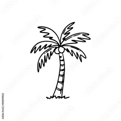Hand drawn sketch of a palm tree. Tropical palm tree. Vector illustration