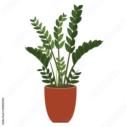 Zamioculcas zamiifolia indoor plant flat vector illustration for home interior