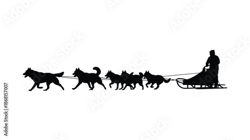A musher guiding a team of huskies pulling a sled black silhouette
