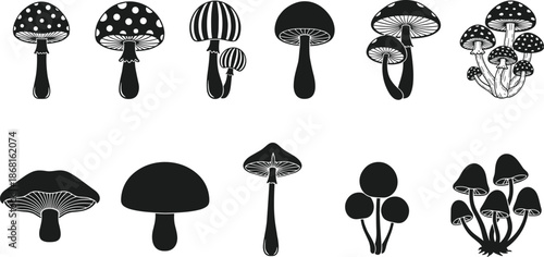 Stylized mushroom illustrations set, black and blue fungi icons, botanical fantasy shapes, psychedelic nature art collection vector design