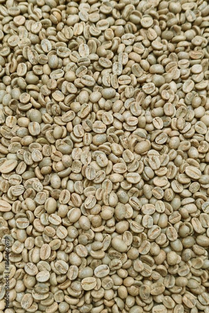 Fototapeta premium Close up of coffee beans for background