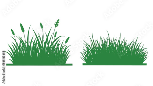 Green grass and cattails depicted as a striking nature silhouette