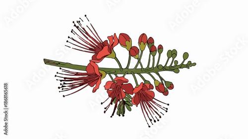 A stylized illustration of a flowering branch with red blossoms and green buds