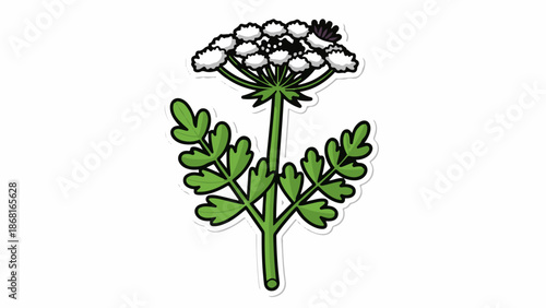 A stylized illustration of a flowering plant with delicate white blooms and green leaves