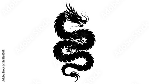 Black dragon silhouette illustration on white background.