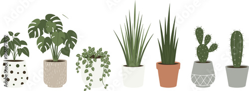 Indoor Houseplants Illustration Set with Monstera and Cactus Plants in Decorative Pots Flat Style Botanical Icons Collection
