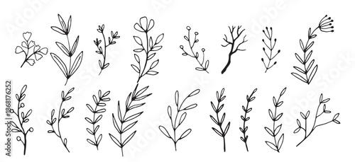 hand drawn floral elements vintage botanical illustrations