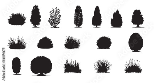 Set of black silhouettes of various trees and bushes, isolated on white background, graphic illustration. concept of nature, landscape design, botany, plant collection, garden decor