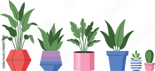 Flat Style Indoor Houseplants Collection with Decorative Pots Botanical Greenery Illustration Set