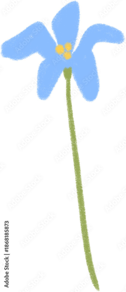 Fototapeta premium 파란꽃