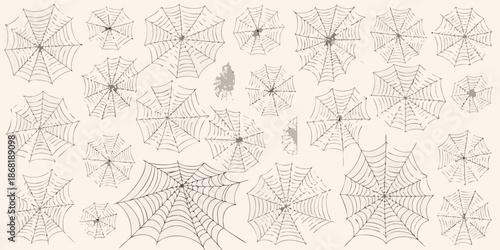 An array of detailed spiderwebs and scattered fluff on a neutral background