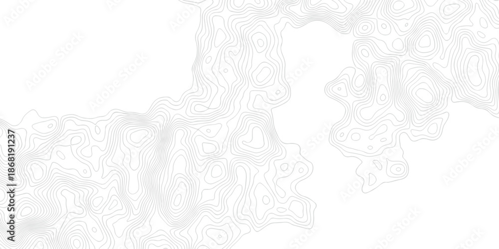 Obraz premium Abstract paper seamless pattern topography map counter map. abstract sea map area space geometrics line area topo discovery landscape grid map texture.