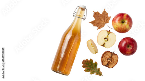 Apple Cider Vinegar Bottle with Fresh and Dried Apples and Autumn Leaves Flat Lay
