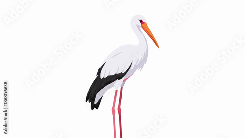A white bird with black wings and a long orange beak stands tall on thin pink legs