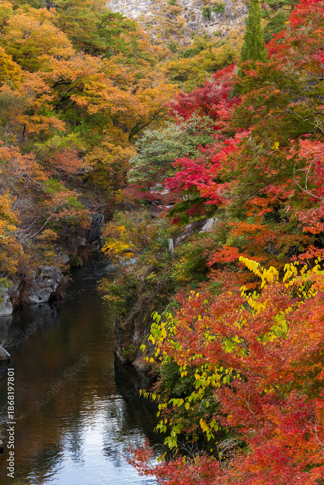 Fototapeta premium 日本の風景・秋 山梨県甲府市 紅葉の昇仙峡 