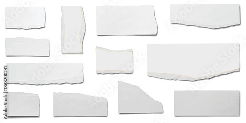 Collection of white paper scraps with torn and jagged edges, isolated on a clean white background