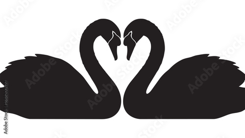 Valentine y26 (66)_traced