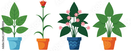 Flat Style Indoor Plants and Flowers Illustration Set with Decorative Potted Houseplants Botanical Icons Collection
