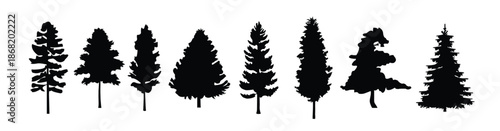 pine trees silhouette set pine trees vector silhouette