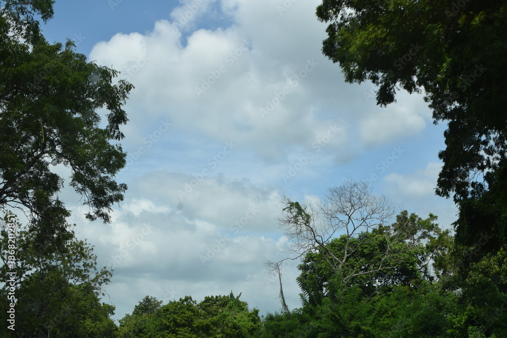 Obraz premium Vast Open Sky Above the Highway Stretching Into the Distance, Creating a Sense of Freedom, Travel, and Endless Journey. Endless Highway Beneath a Wide Open Sky, Capturing Motion, Travel, 
