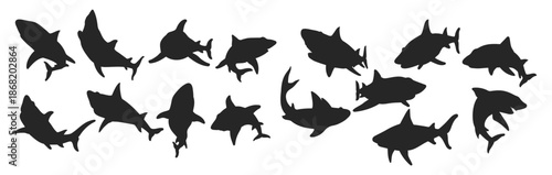 shark silhouette illustration vector collection of vicious