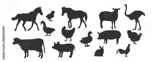  vector farm animal silhouette isolated on white livestock