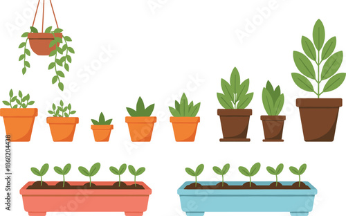 Indoor Gardening Illustration Set with Hanging Plant and Seedling Trays Decorative Houseplants Collection Flat Style Icons