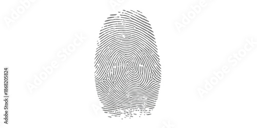 Close-up of a human fingerprint showing intricate patterns for biometric security
