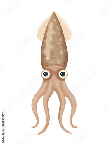 Squid. Flat vector clipart, illustration with isolated background.