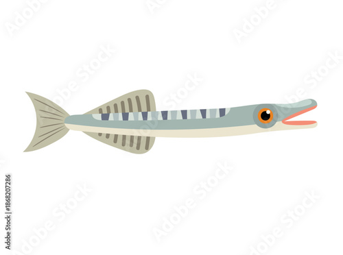 Garfish Fish. Flat vector clipart, illustration with isolated background.