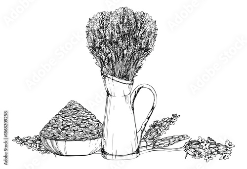 Enamel jug of Fresh cut lavender, clay bowl of dry seeds, single lavandula flower stalks. Isolated illustration hand drawn in vector ink. Invitations, textile design, digital kits, love theme tags