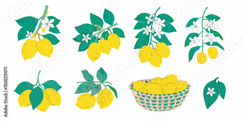 Stylized illustration of lemon branches individual fruits and a basket of lemons