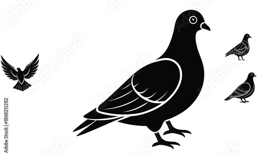 A black pigeon silhouette vector illustration of a dove of peace depicts a wild bird in nature with artistic wings and a beak for a clean wildlife animal design