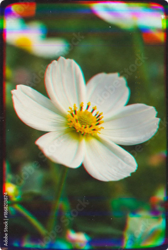 Summer flower VHS-effect