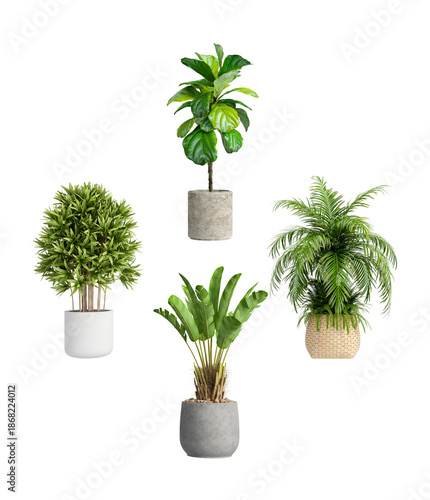 collection of four diverse houseplants in modern pots, realistic 3d render, isolated on transparent background, perfect for interior design and home decor.