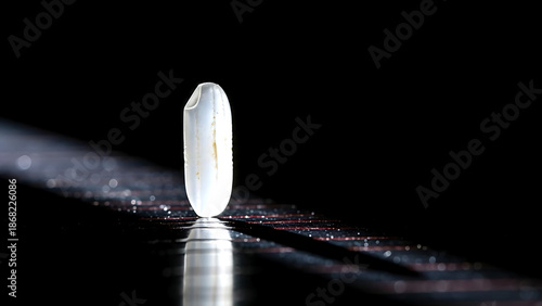Minimalist art of a perfect grain of sushi rice standing vertically on black lacquer surface, illuminated by a single light beam highlighting its translucency, stark composition 