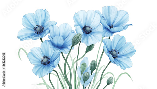 Blue Poppy Flowers in Watercolor Style