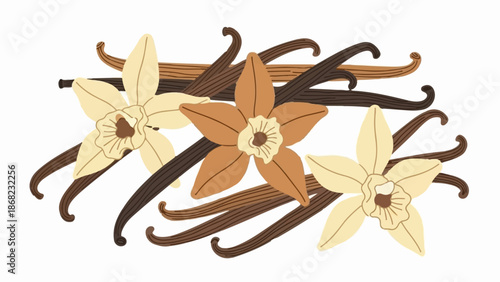 Artistic illustration of vanilla pods and flowers, featuring delicate beige and brown hues