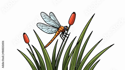 An orange dragonfly with translucent wings rests on a cattail stalk amidst green grass