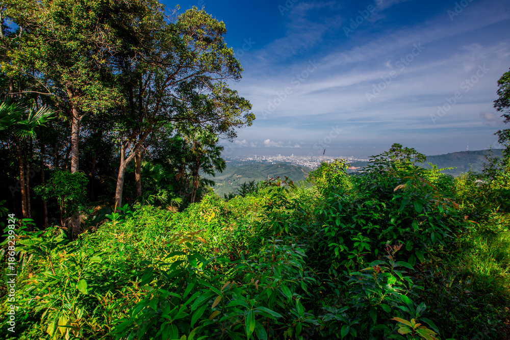 Fototapeta premium A natural backdrop from a high mountain peak offers a panoramic view of the surrounding landscape, including trees, grass, rubber plantations, and skyscrapers stretching as far as the eye can see.