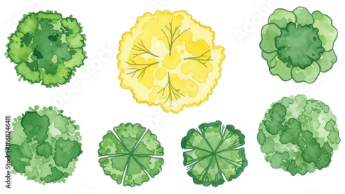 Watercolor tree icon set, yellow hand drawn bush top view, vector green architecture map design kit. Garden park abstract sign, nature environment plan landscape layout object. Flat tree top crown art